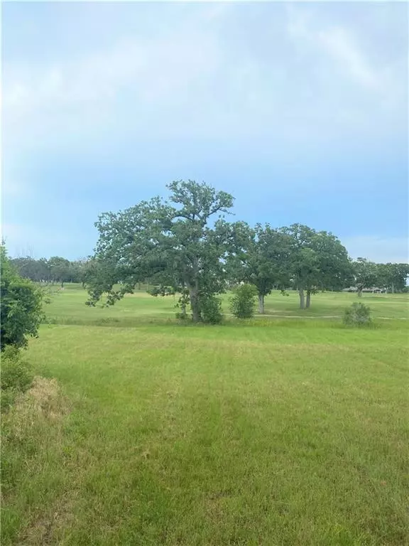 Bastrop, TX 78602,171 Riverwalk LN