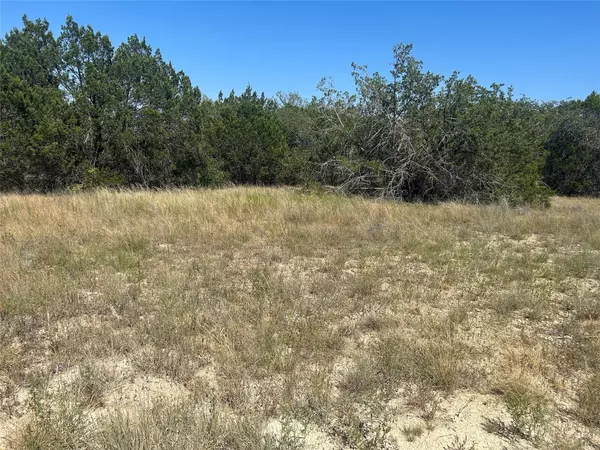 Evant, TX 76525,TBD PR 4219 Lot 94