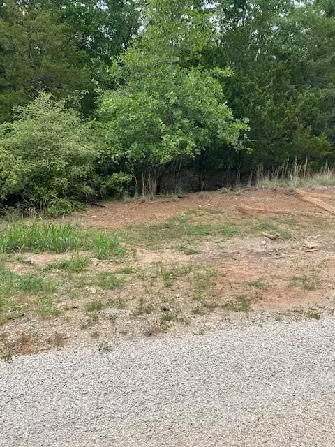 Bastrop, TX 78602,Lot 58 Kaelepulu DR