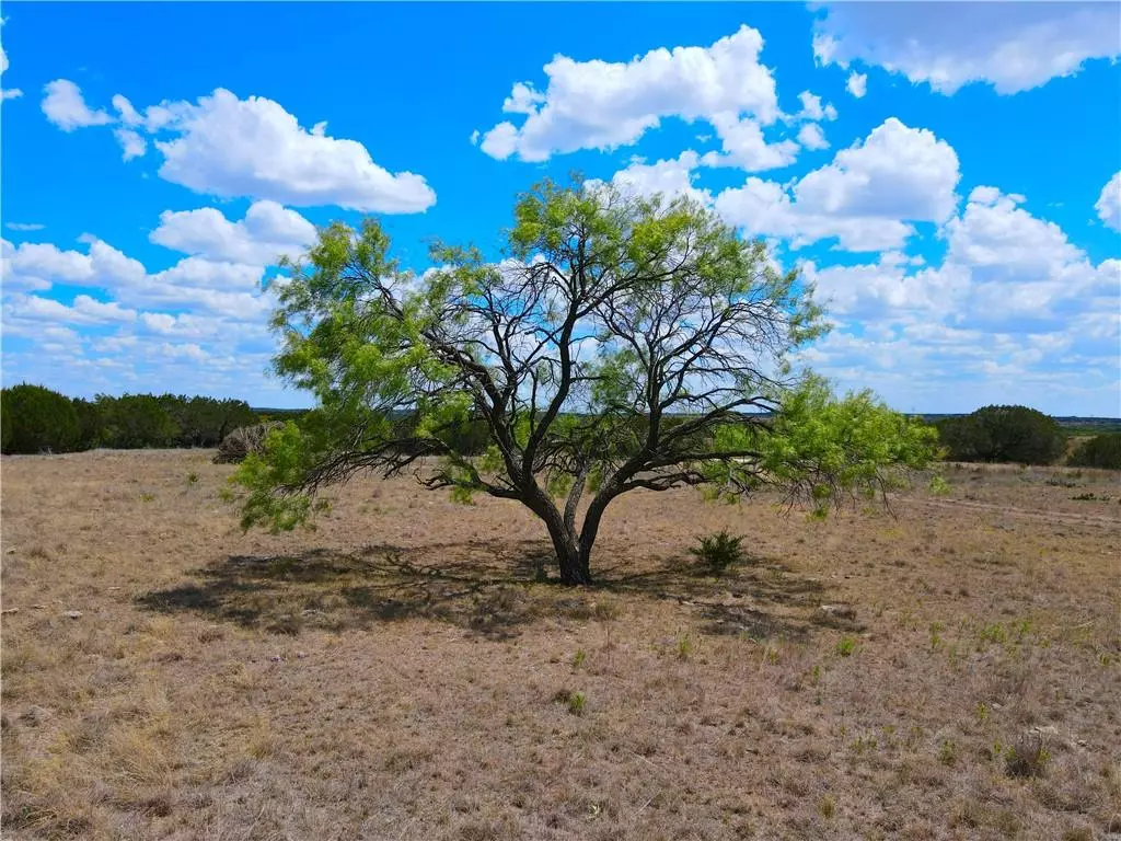 Lampasas, TX 76550,TBD CR 2275 Lot 1 #1