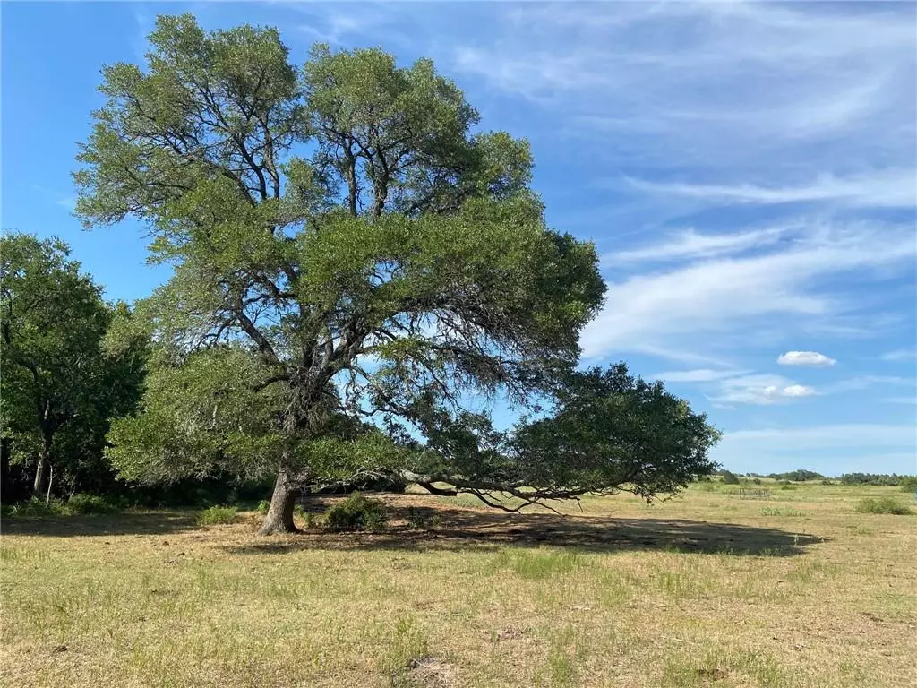 Carmine, TX 78932,2205 Nixon Lake RD