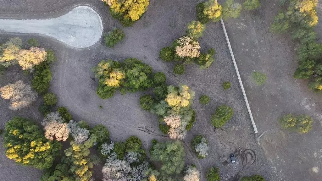 Address Not Disclosed