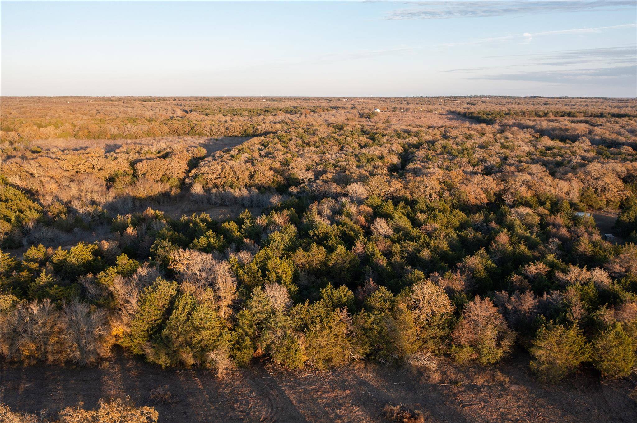 Paige, TX 78659,0000 TBD 21+/- Ac Grassyville RD