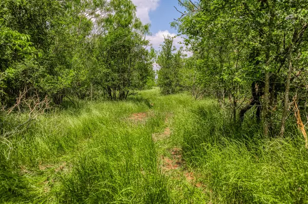 Somerville, TX 77879,10396 County Road 276 LAND