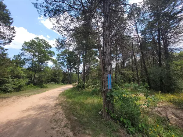 Mcdade, TX 78650,566 Herron TRL