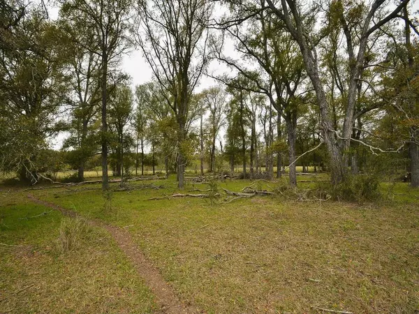 Dale, TX 78616,277 FM 672