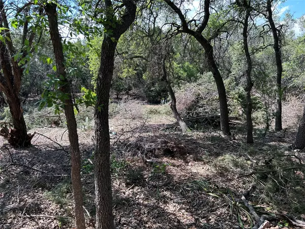 Spicewood, TX 78669,22300 Briarview DR