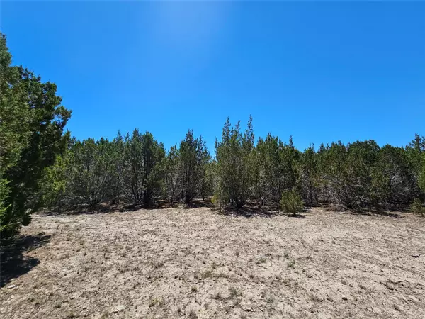 Lampasas, TX 76550,Lot 25 Alta Vista DR