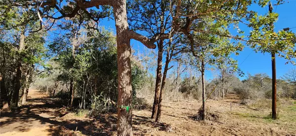 Smithville, TX 78957,LOT 13 Peace Pipe