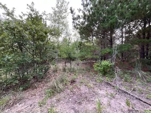 Bastrop, TX 78602,TBD County Rd., Lot 20-C RD