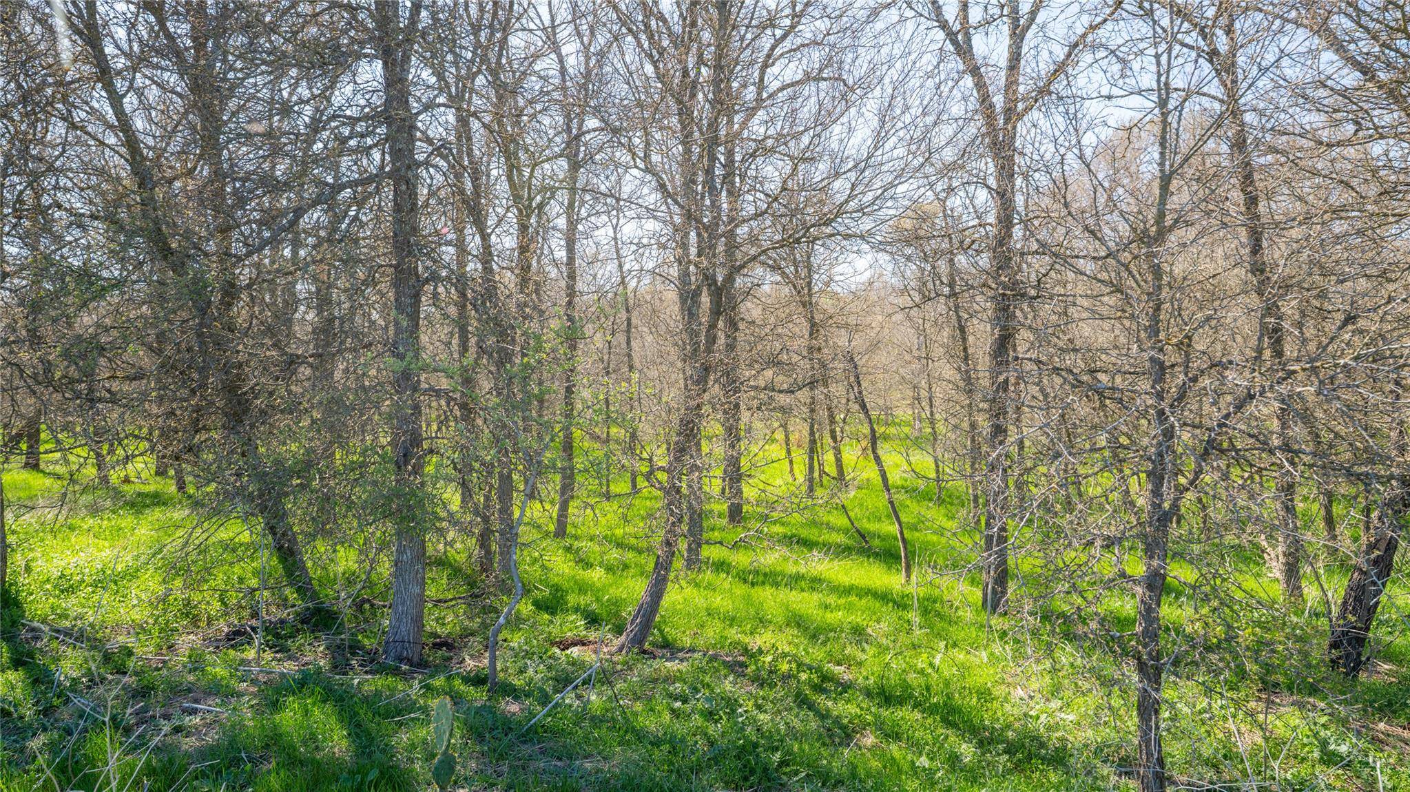 Buckholts, TX 76518,2396-C County Road 112