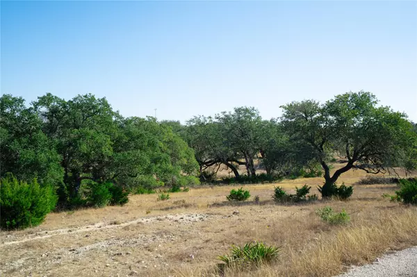 Dripping Springs, TX 78620,101 Mystic Overlook DR