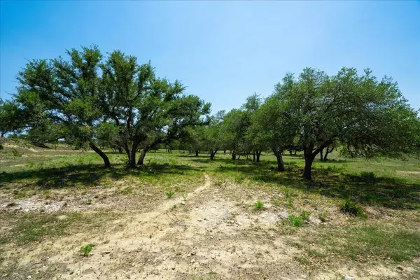 Dripping Springs, TX 78620,101 Mystic Overlook DR