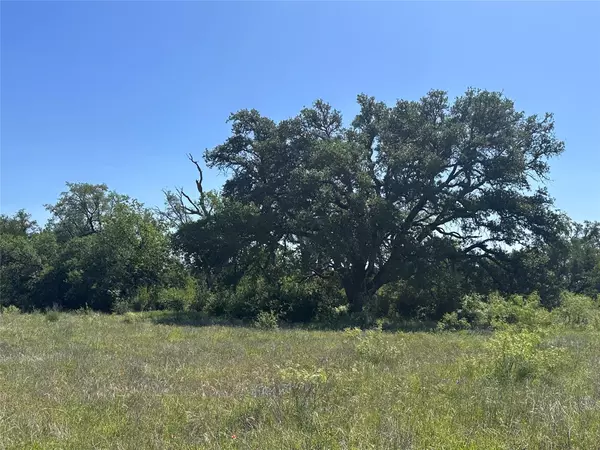 Bertram, TX 78605,Lot 49 Serenity DR