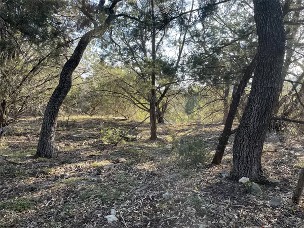 Lago Vista, TX 78645,20805 Hawthorne CV