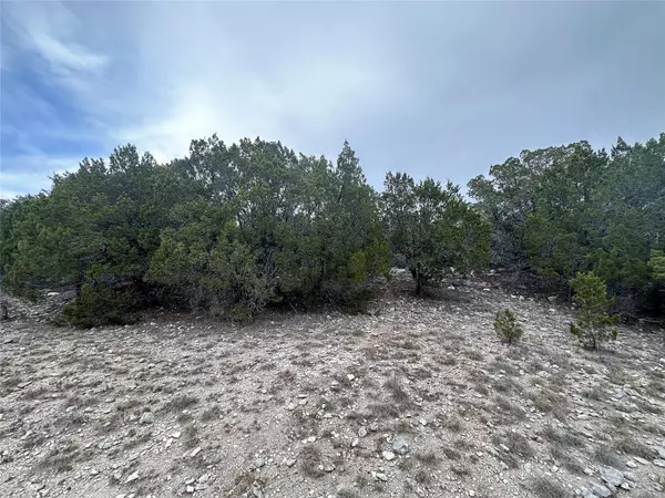 Lago Vista, TX 78645,3105 Pilgrim CV