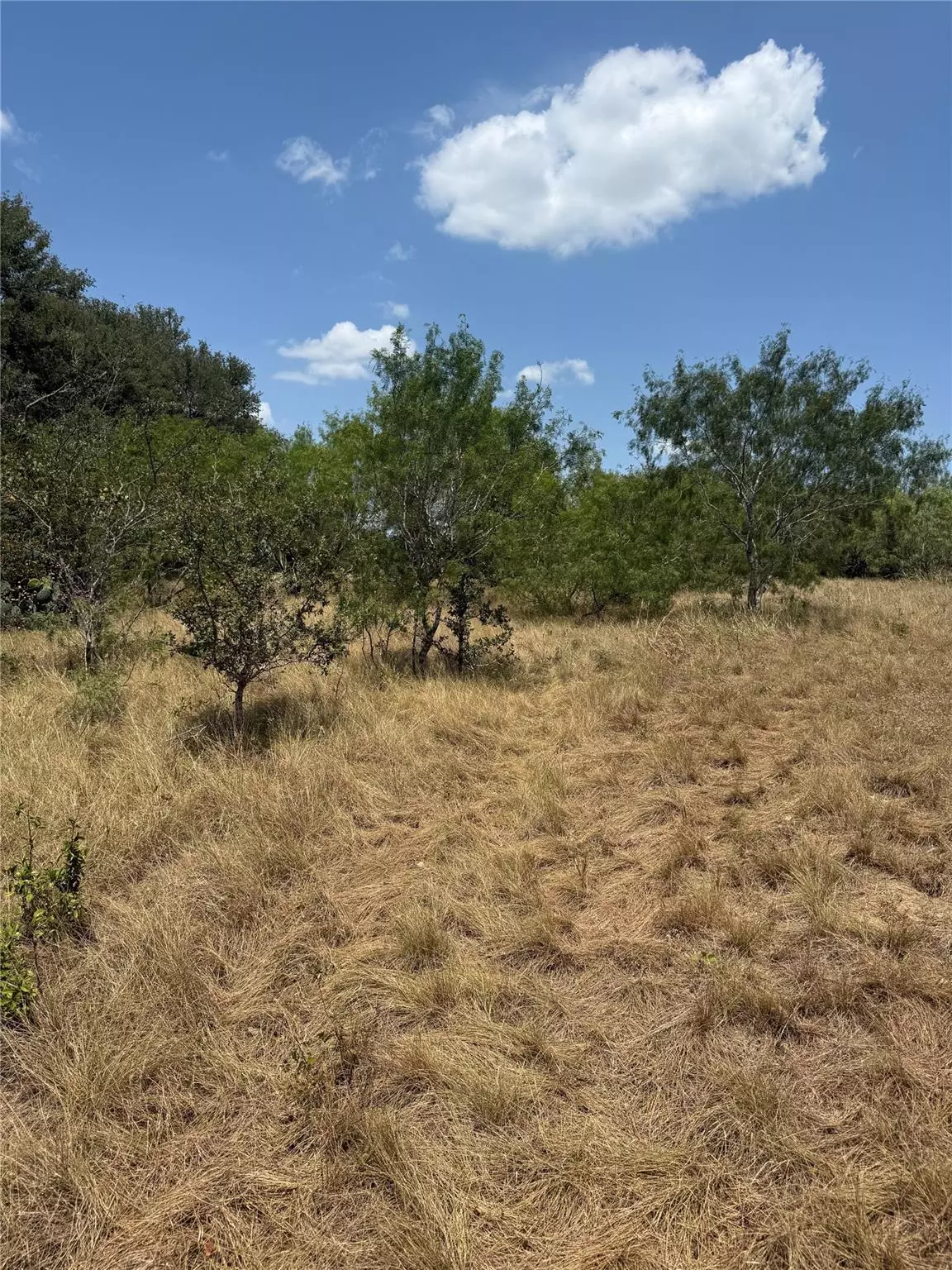 Red Rock, TX 78662,8400 Pettytown RD