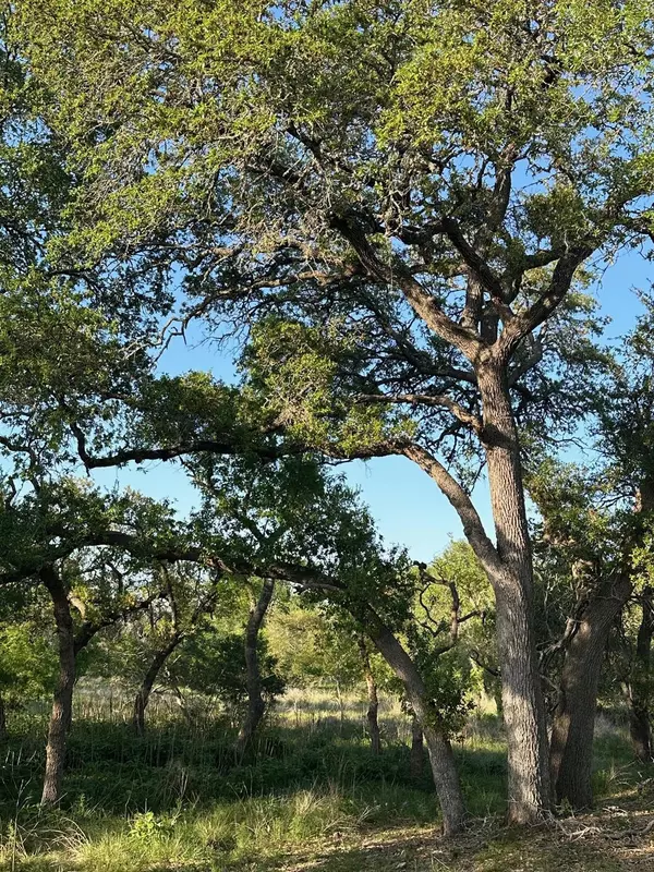 Wimberley, TX 78676,TBD S Rainbow Ranch RD