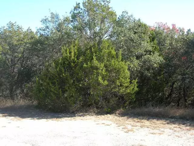 Lago Vista, TX 78645,21101 Needles CV