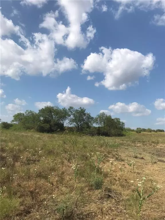 Liberty Hill, TX 78642,200 Gatlin Ranch RD