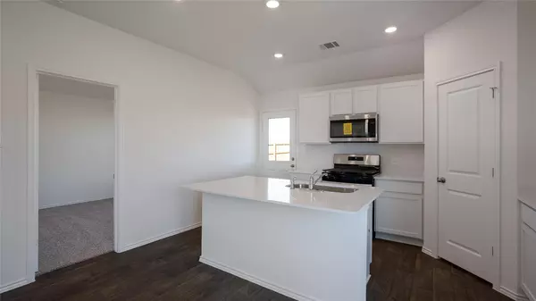 Uhland, TX 78640,153 Celosia LOOP