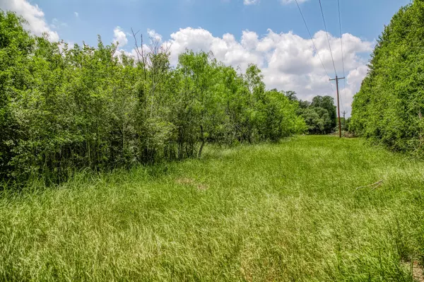 Somerville, TX 77879,10366 County Road 276 LAND