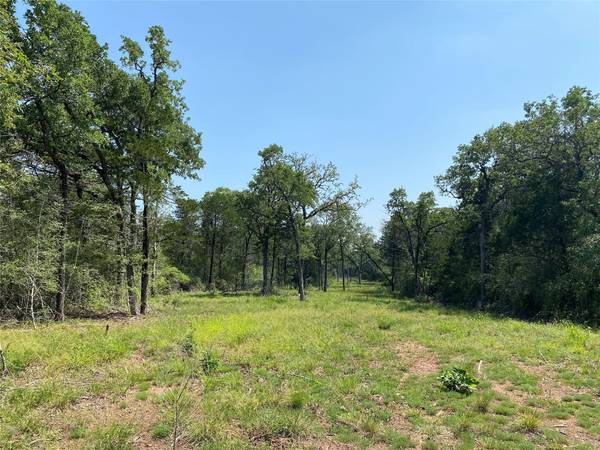 TBD High Crossing Rd - TRACT 9, Smithville, TX 78957