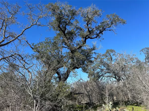 Luling, TX 78648,5912 Tenney Creek RD