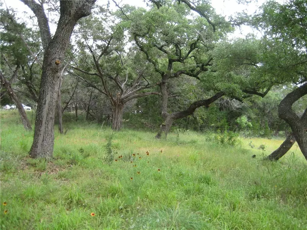 Spicewood, TX 78669,880 County Road 414