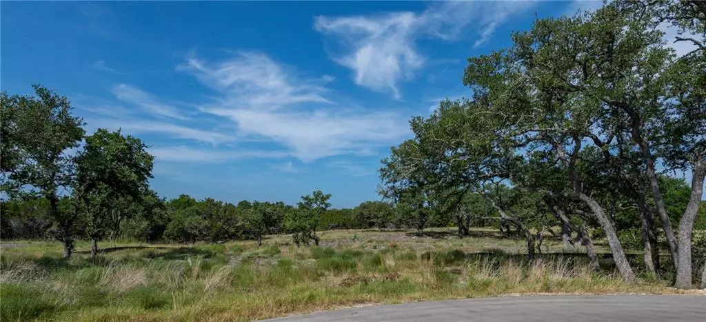 Dripping Springs, TX 78620,330 Calvary CV