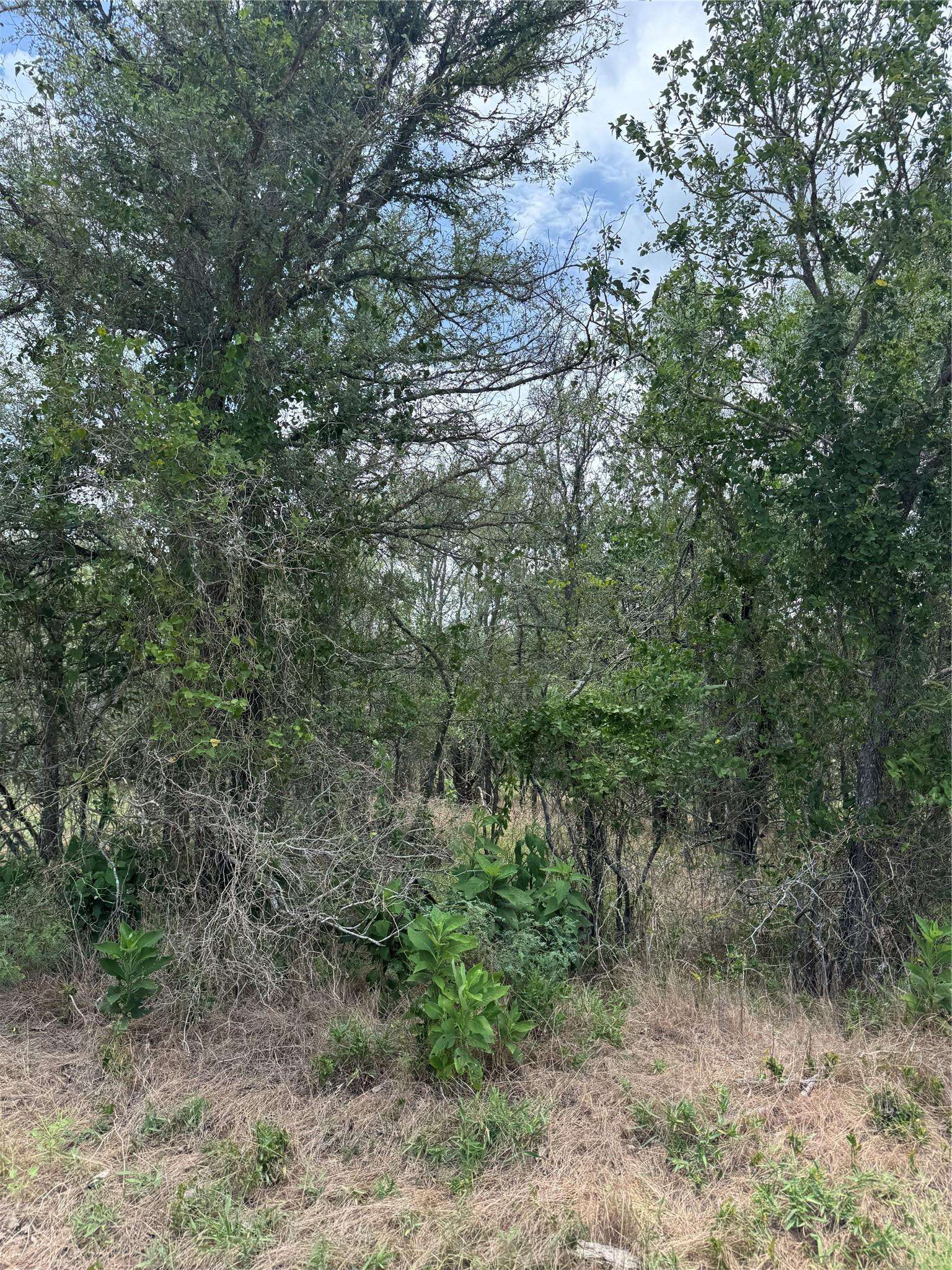 Bastrop, TX 78602,Lot 686 Kawainui LN