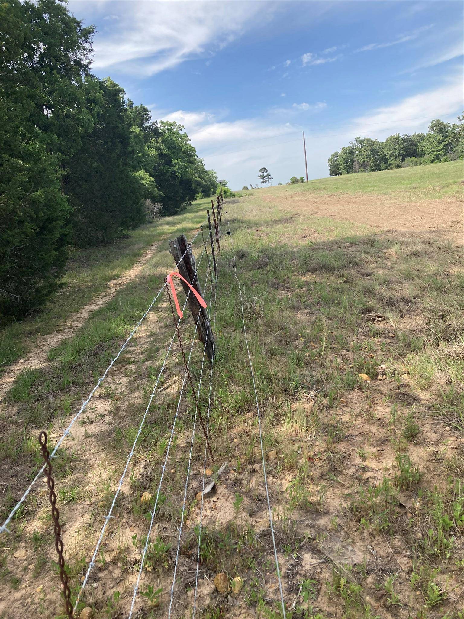 Paige, TX 78659,1078 Old Pin Oak RD #Tract #2