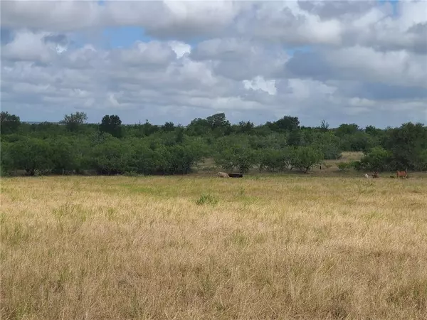 TBD 46 Acres West County Rd 446, Waelder, TX 78959