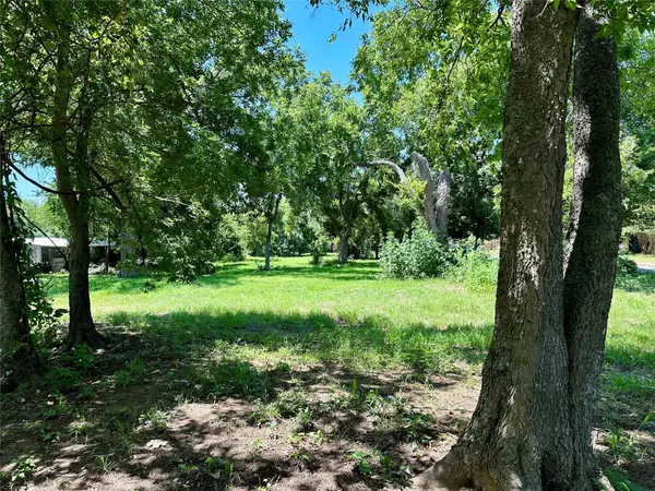 Lot 1 Old Mcdade Rd & E Alamo ST, Elgin, TX 78621