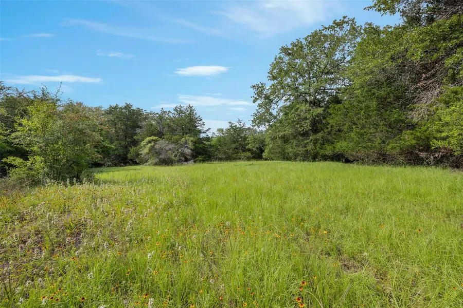 TBD (+/- 15 Acres) County Road 316, Caldwell, TX 77836