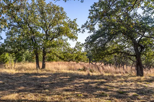 Lampasas, TX 76550,1260 County Road 2001