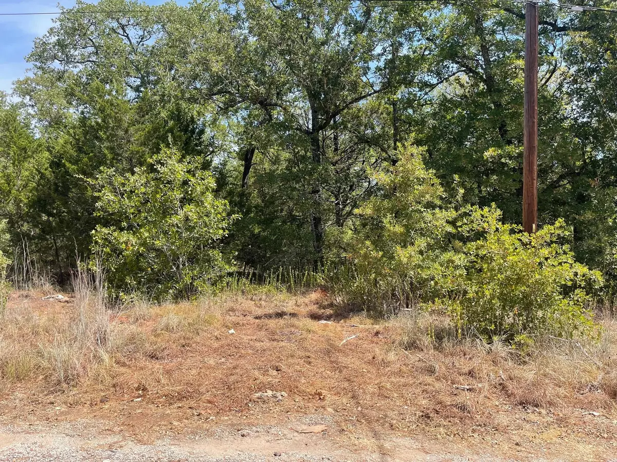 Smithville, TX 78957,TBD Seminole DR