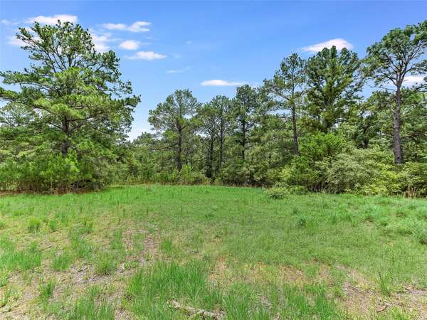 TBD Sandy RD, Rosanky, TX 78953