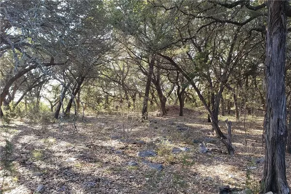 21410 WARRIOR TRL,  Lago Vista,  TX 78645