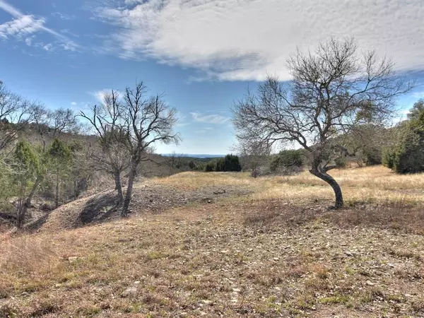 Lot 160A Sierra DR, Bertram, TX 78605