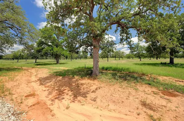 Fredericksburg, TX 78624,Lot 5 Silas TRL