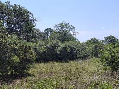 Smithville, TX 78957,142 Meduna RD