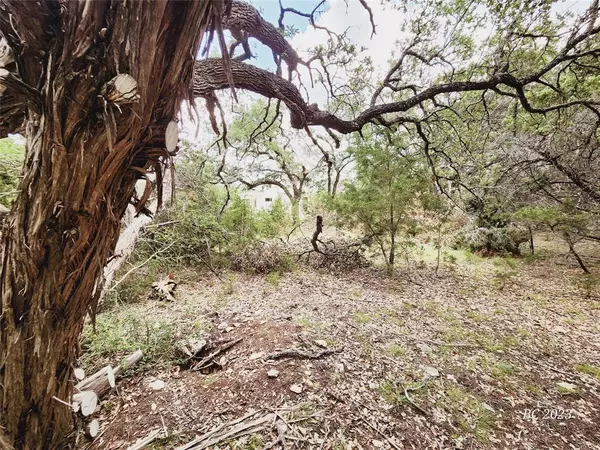 Wimberley, TX 78676,000 Columbrina LN #Lot 56