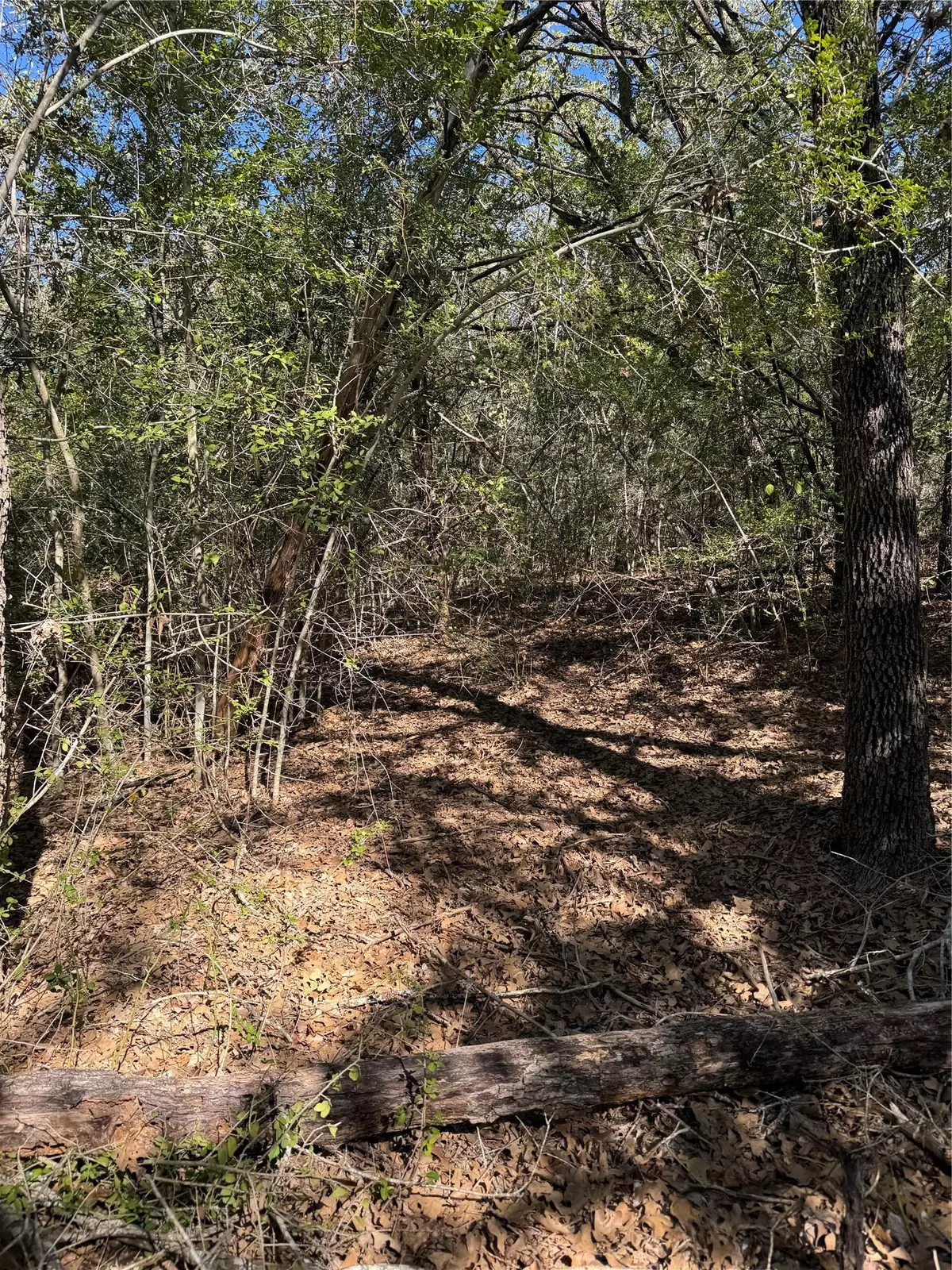 Bastrop, TX 78602,Lot 195 Kaelepulu DR