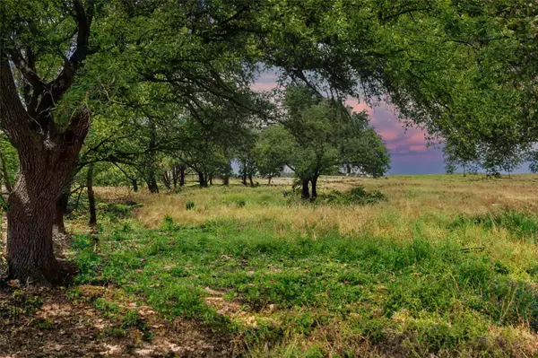 Lot 9 W Flying Owl DR, Johnson City, TX 78636