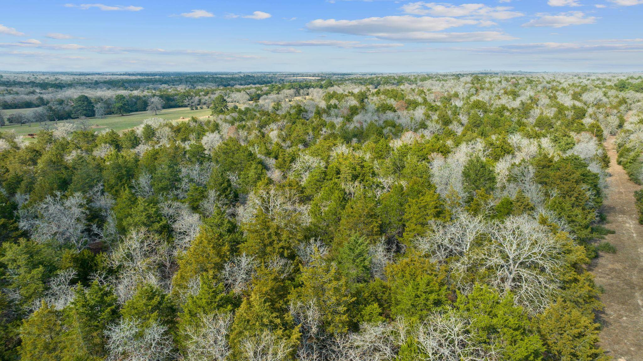 16945 Farm to Market 713, Rosanky, TX 78953