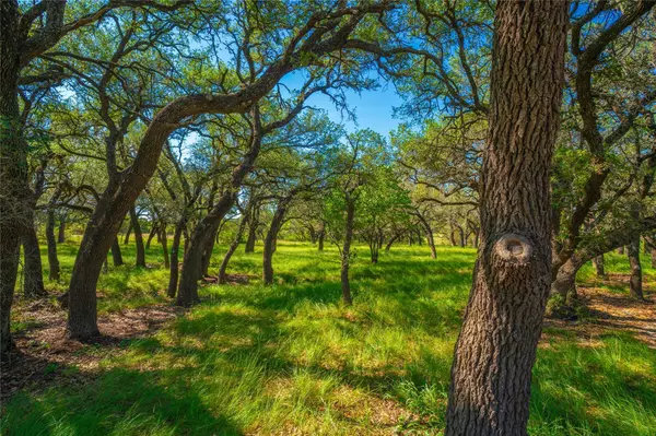 Lometa, TX 76853,2455 CR 2699