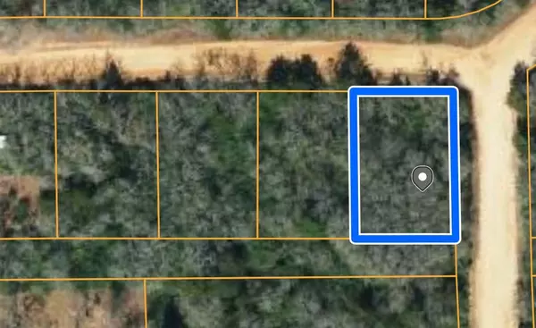 Hilltop Lakes, TX 77871,TBD Navarro DR