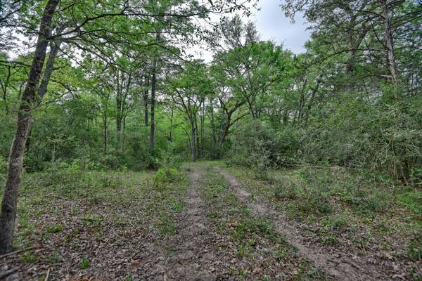 TBD (43.65 Acres) County Road 126, Caldwell, TX 77836
