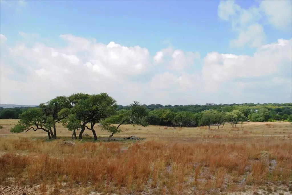 Dripping Springs, TX 78620,00 Medlin Creek Loop Lot 26